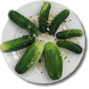 Wholesale Green Half Sour Pickles