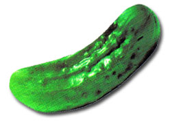 Pickle